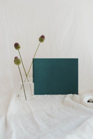 Álbum Pequeño Lino Azul